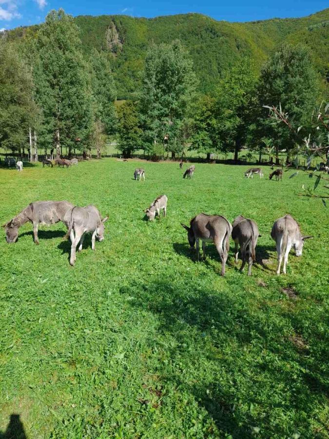 Mountain View Resort Gusinje Экстерьер фото